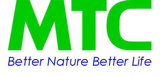 MTC English
